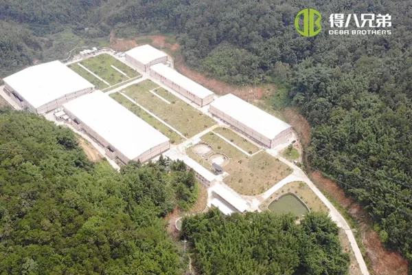 ãSystém tekutého krmeníãGuangdong Zhaoqing 20000 výkrm 10000 farma prasat v odstavu.