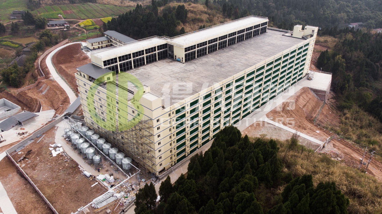 Jak zlepšit kvalitu životního prostředí v moderním designu prasečí farmy