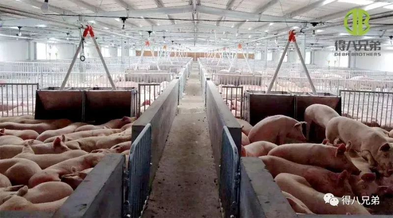 Účinná protiopatření proti tepelnému stresu v létě