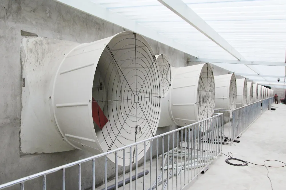 Inteligentní řízení klimatu se stává žhavým trendem v modernizacích velkochovů prasat
